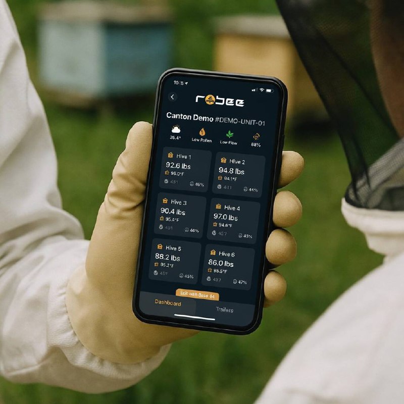 RoBee mobile app shown in hand at the hive